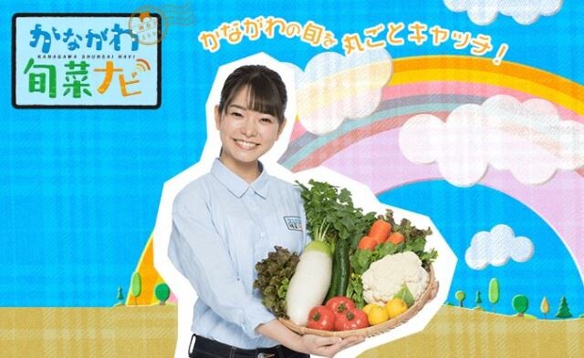 旬ナビ