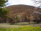 RIMG0909
