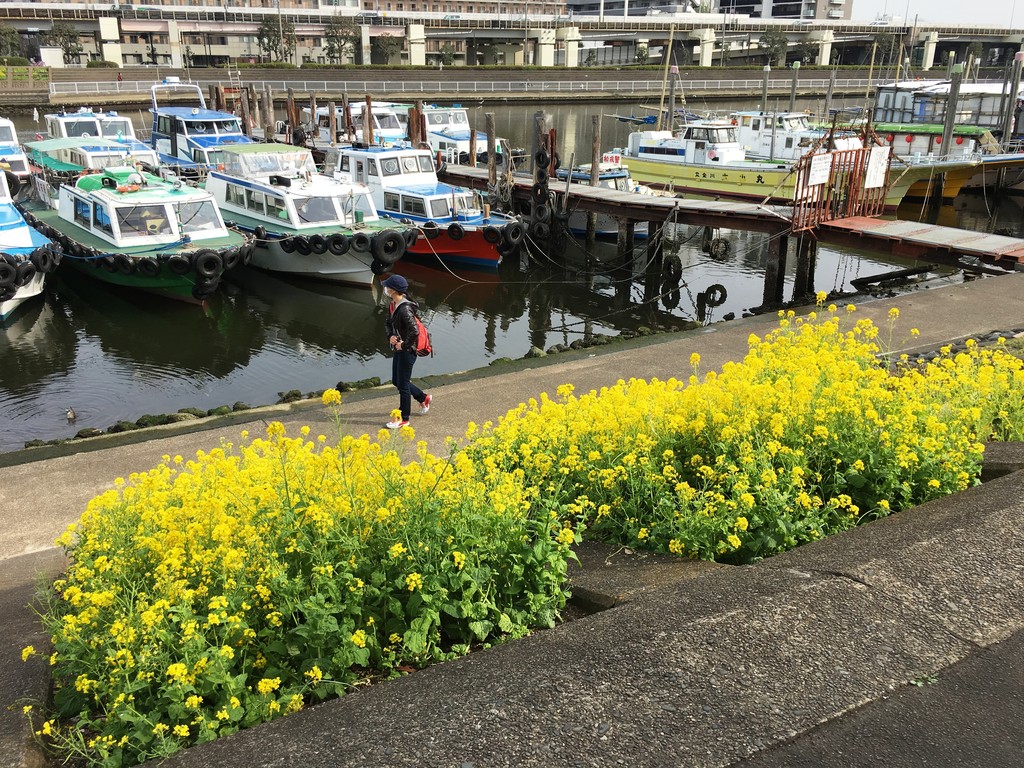IMG_4130