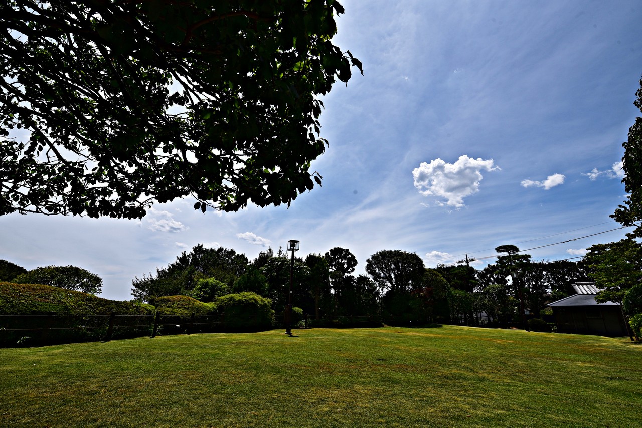 DSC_8084