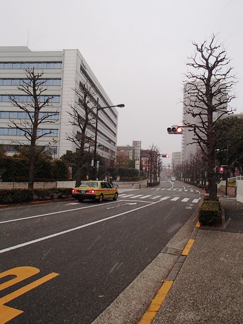 P1010009