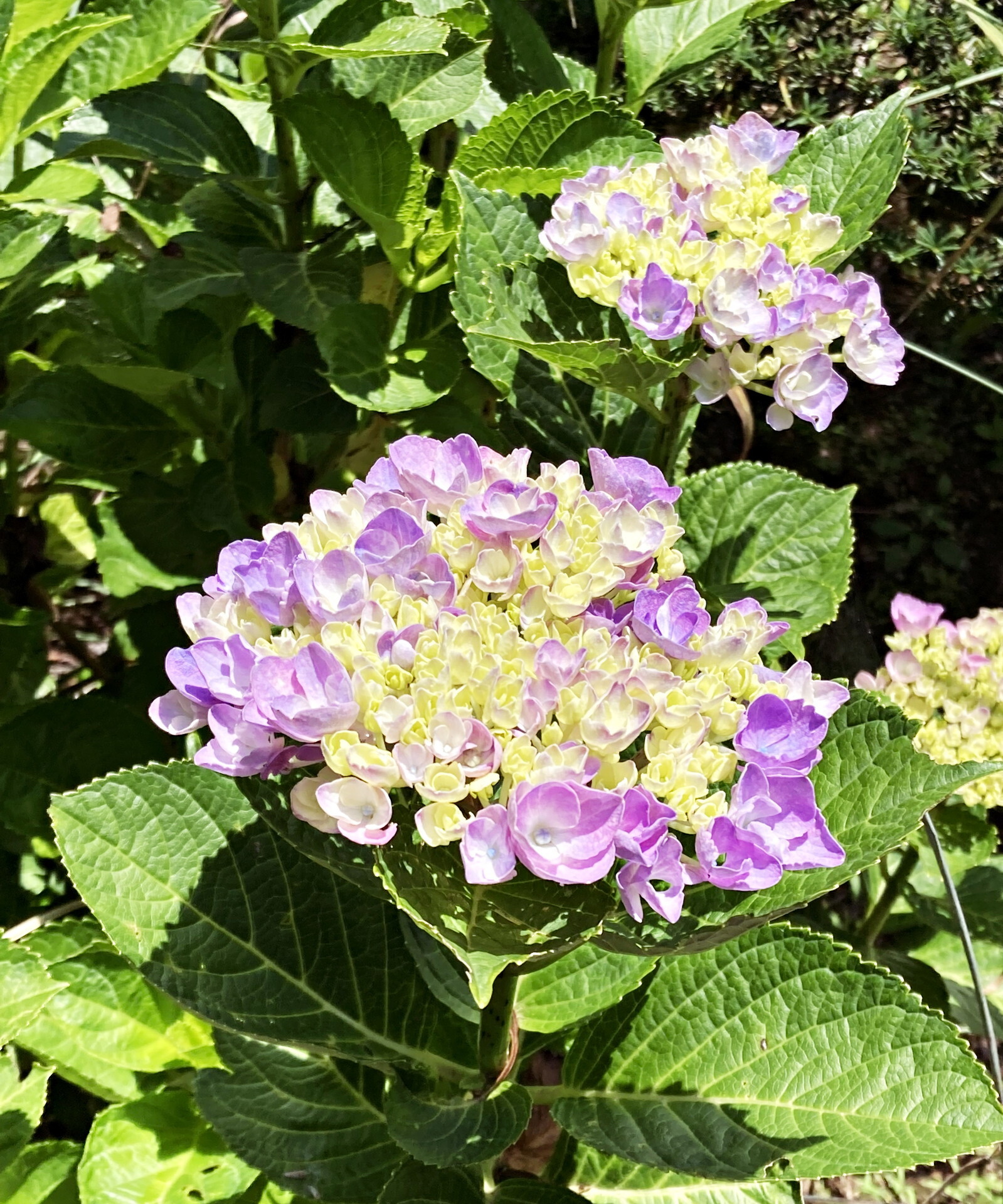 ����5