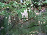 RIMG0865