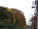 RIMG0883
