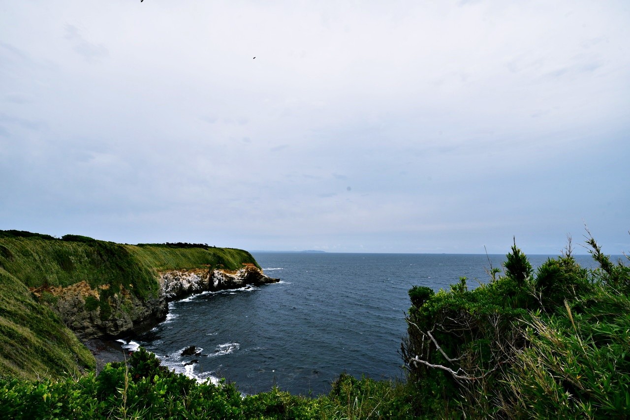 DSC_6510