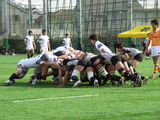 RIMG0879