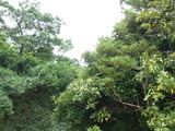 RIMG0890