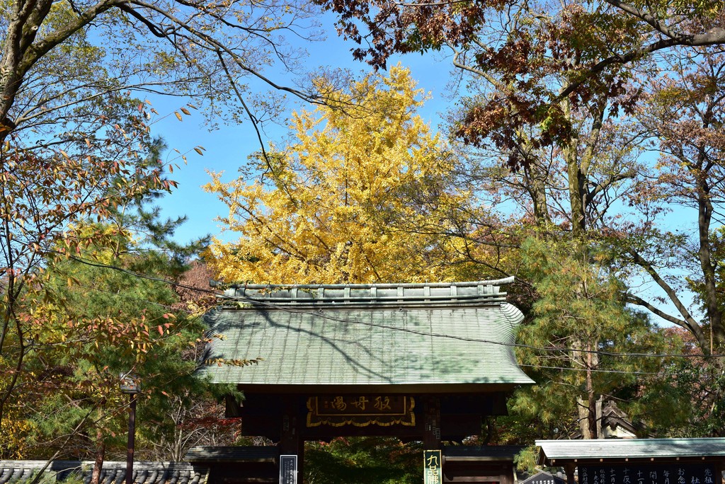 DSC_6913