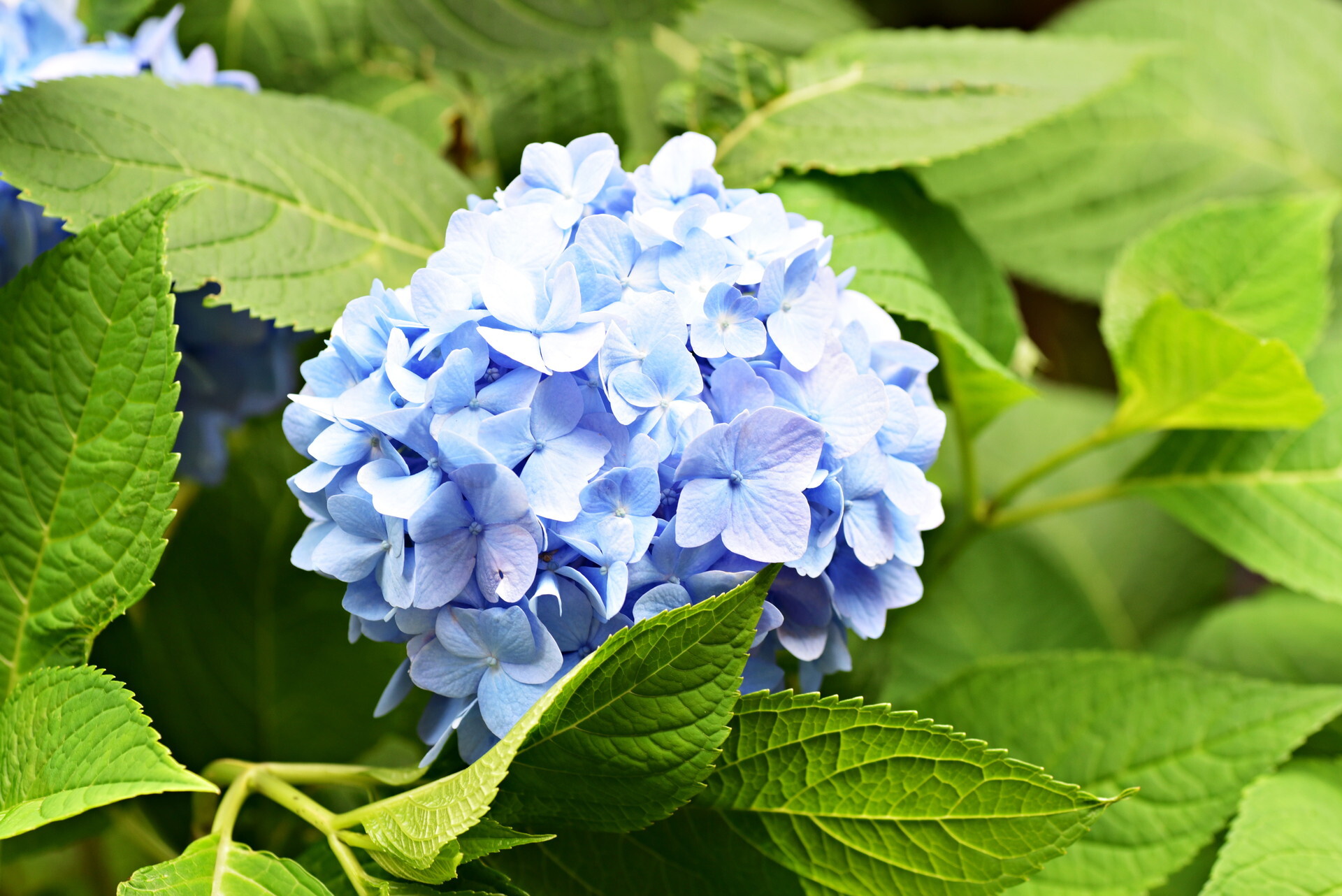 �������� ����ɥ쥹���ޡ�1