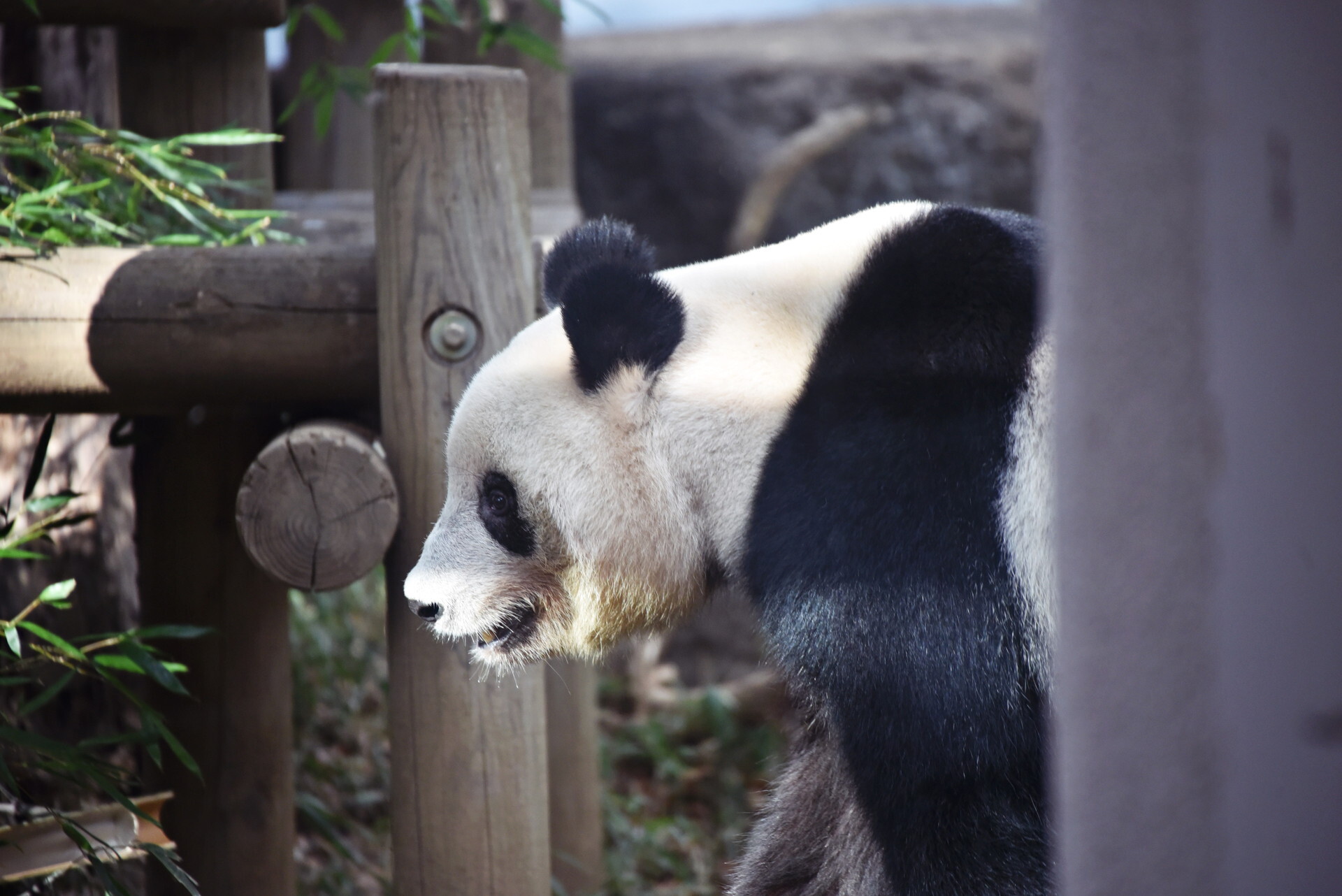 ����ưʪ��_2022_1.2_1