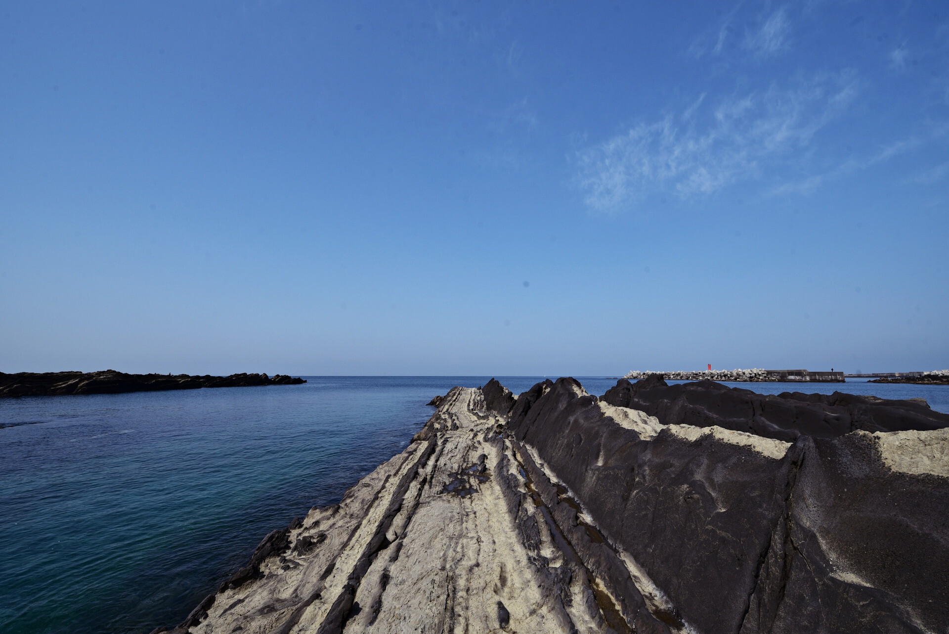 DSC_1507