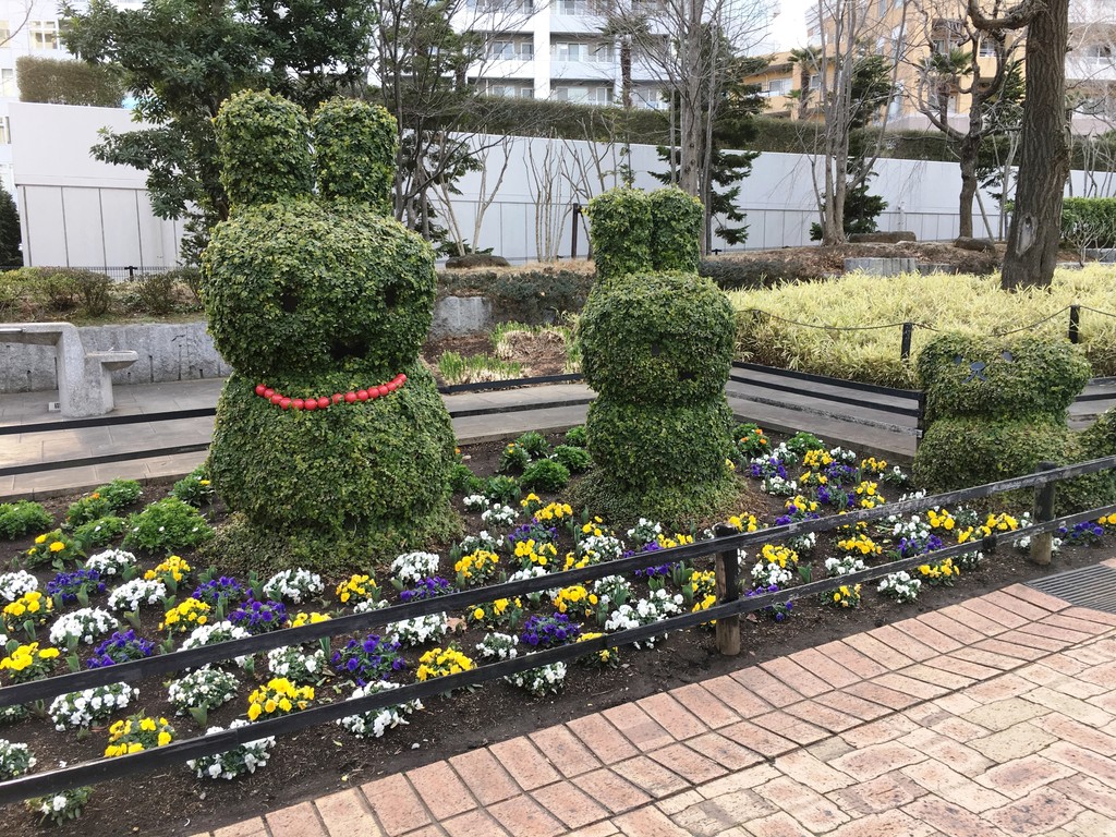 IMG_4123