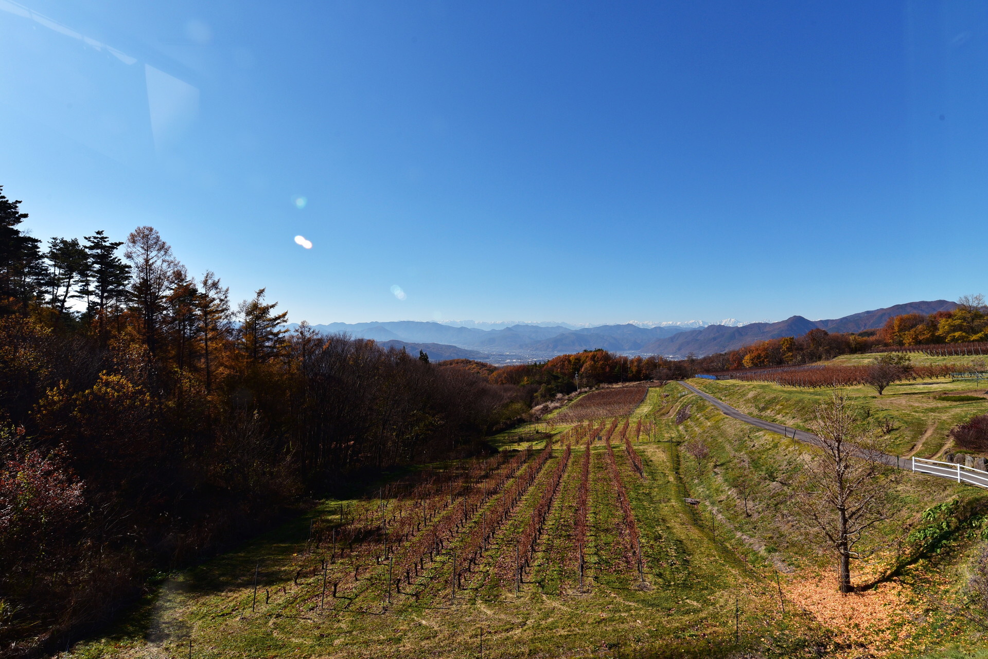 DSC_1955