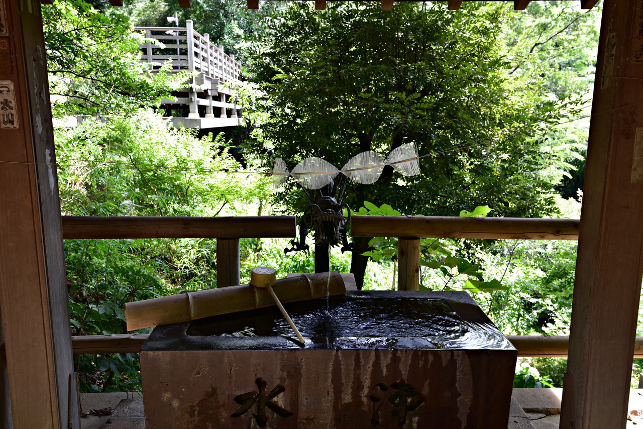 DSC_8097