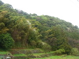 RIMG0861