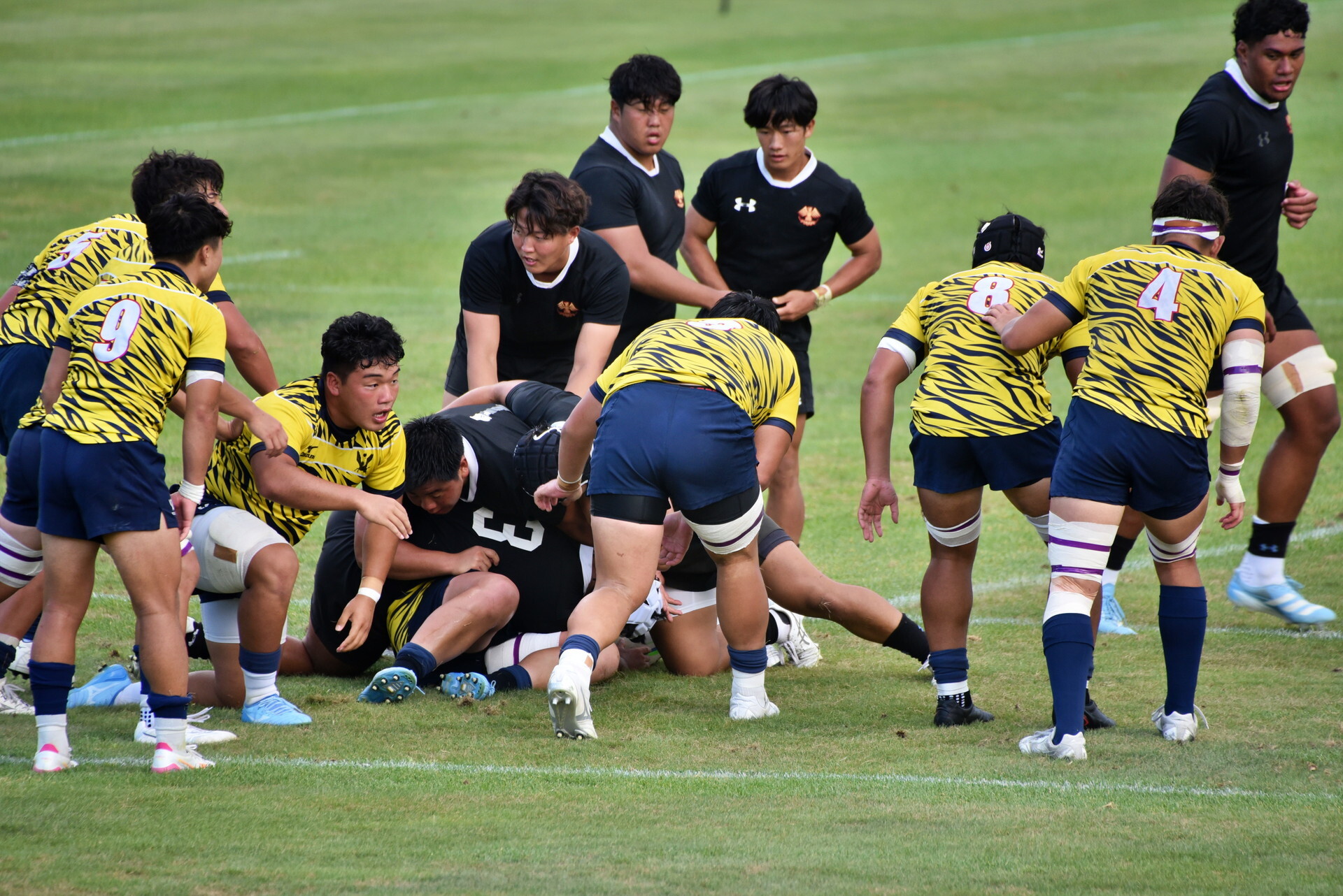 DSC_1900