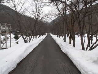 PICT0011_8