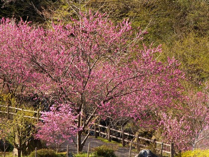 PICT0014