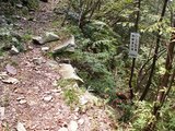 18道へ合流