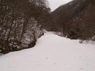 PICT0037_4