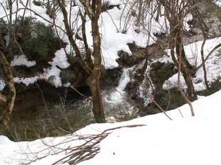 PICT0026_4