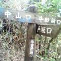 山中の看板