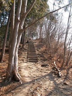 PICT0069