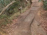 PICT0026