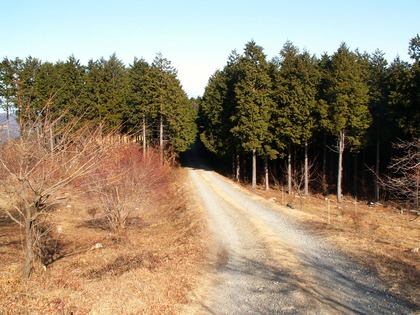 PICT0076