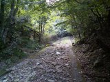 48酷道4