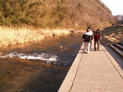 PICT0177