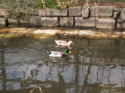 PICT0122