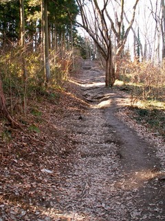 PICT0062