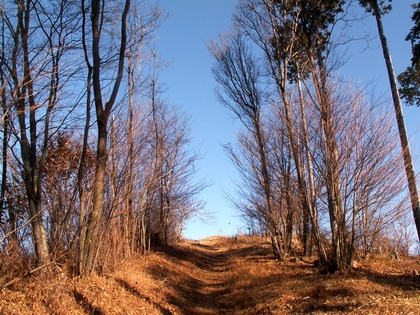 PICT0048
