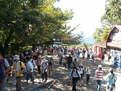 PICT0029
