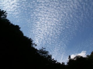 45青空2