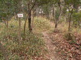 PICT0030