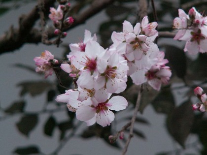 PICT0065