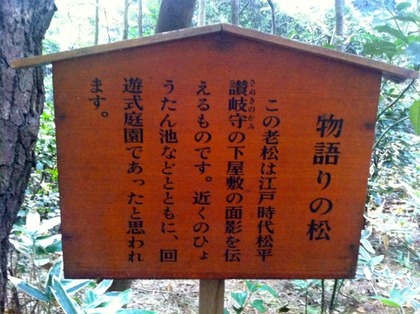 自然教育園11