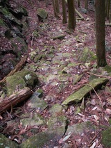 PICT0097