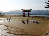26引き潮鳥居