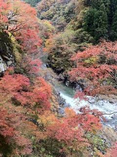 IMG_0625