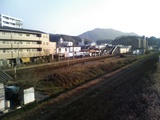 川土手