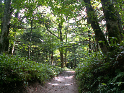 PICT0095