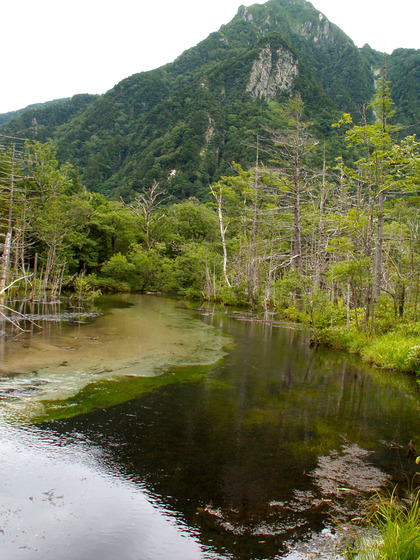 PICT0155