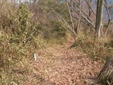 PICT0066