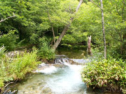 PICT0136