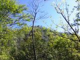 途中から阿武山