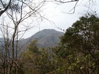 PICT0014_6