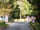 07全面通行止